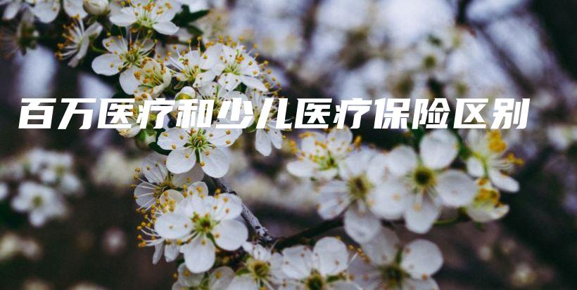 百万医疗和少儿医疗保险区别-PLB