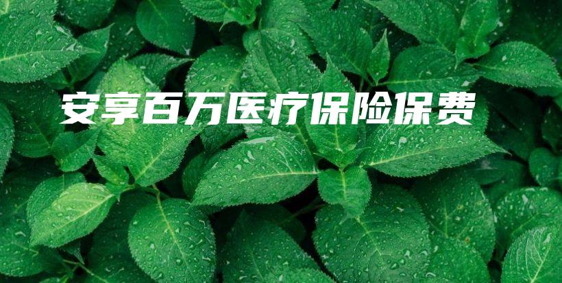 安享百万医疗保险保费-PLB