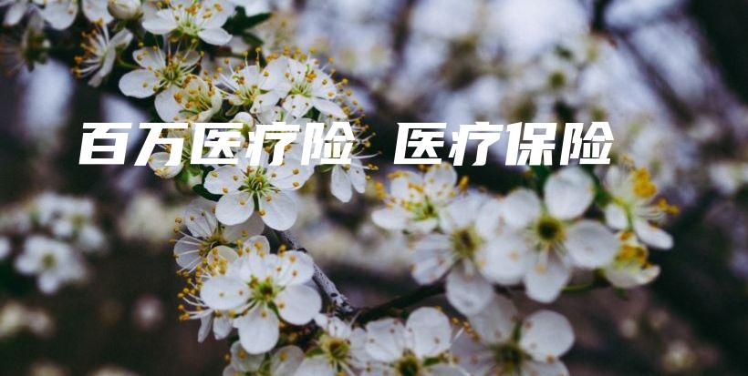 百万医疗险 医疗保险-PLB
