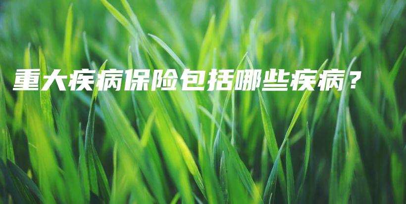 重大疾病保险包括哪些疾病？-PLB