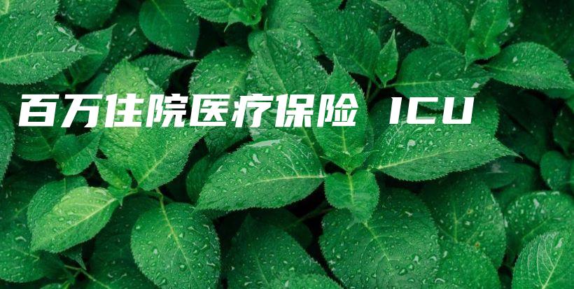 百万住院医疗保险 ICU-PLB