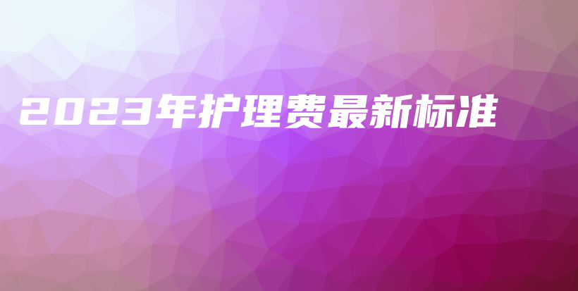 2023年护理费最新标准-PLB