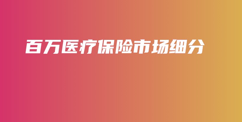 百万医疗保险市场细分-PLB