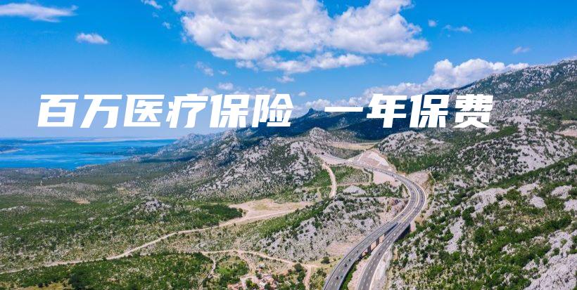 百万医疗保险 一年保费-PLB