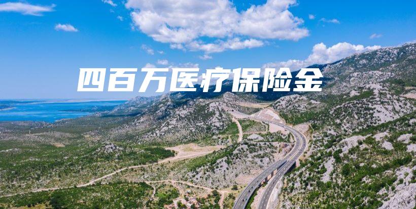 四百万医疗保险金-PLB