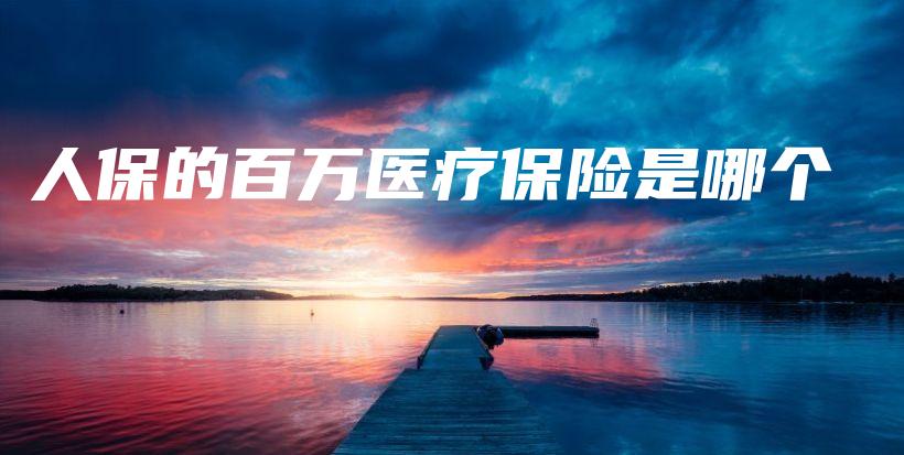 人保的百万医疗保险是哪个-PLB