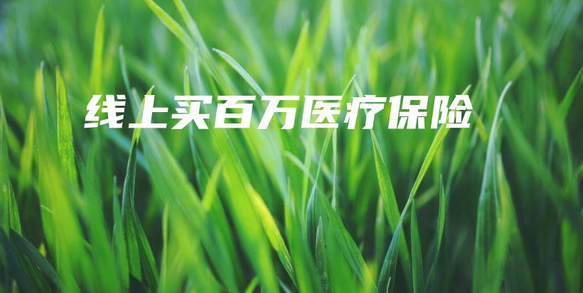 线上买百万医疗保险-PLB
