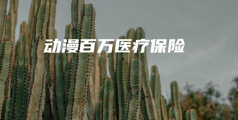 动漫百万医疗保险-PLB