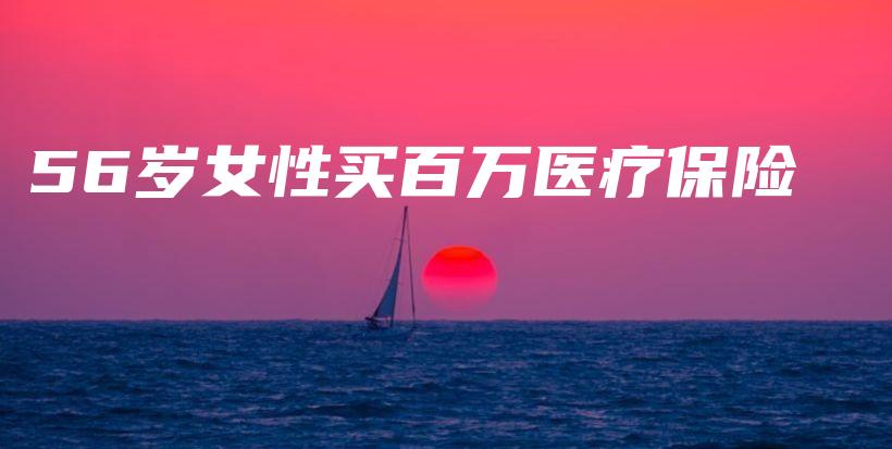 56岁女性买百万医疗保险-PLB