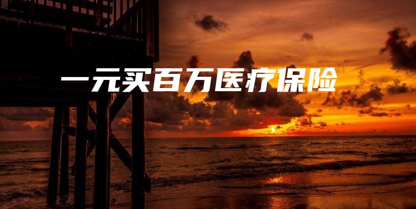 一元买百万医疗保险-PLB
