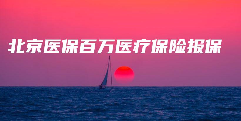 北京医保百万医疗保险报保-PLB