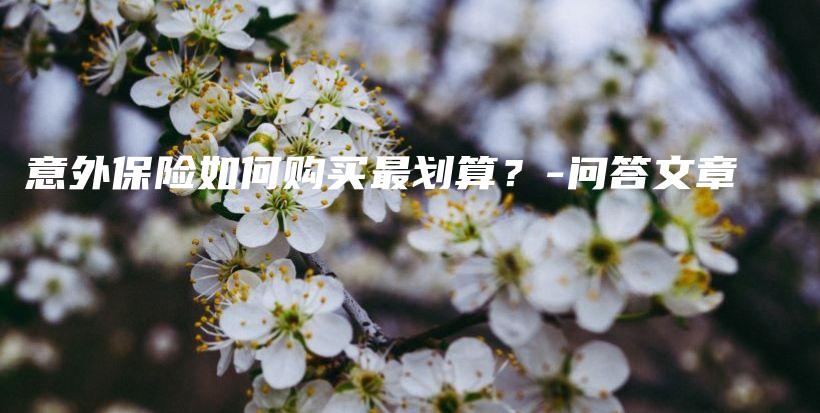 意外保险如何购买最划算？-问答文章-PLB