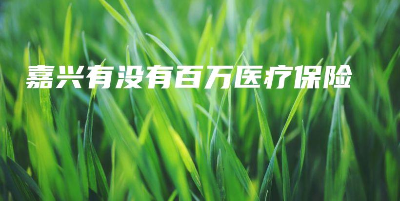 嘉兴有没有百万医疗保险-PLB