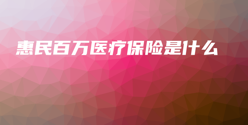 惠民百万医疗保险是什么-PLB