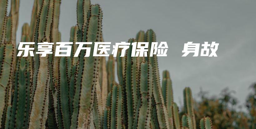 乐享百万医疗保险 身故-PLB