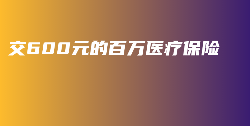 交600元的百万医疗保险-PLB