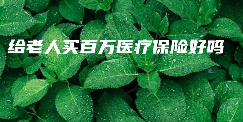给老人买百万医疗保险好吗-PLB