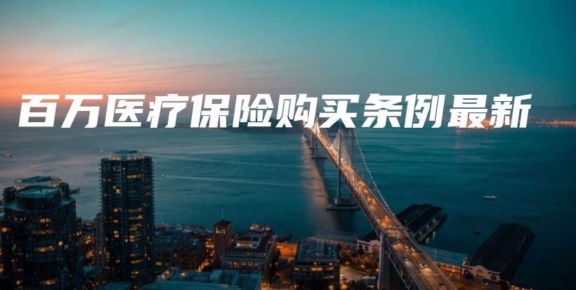 百万医疗保险购买条例最新-PLB