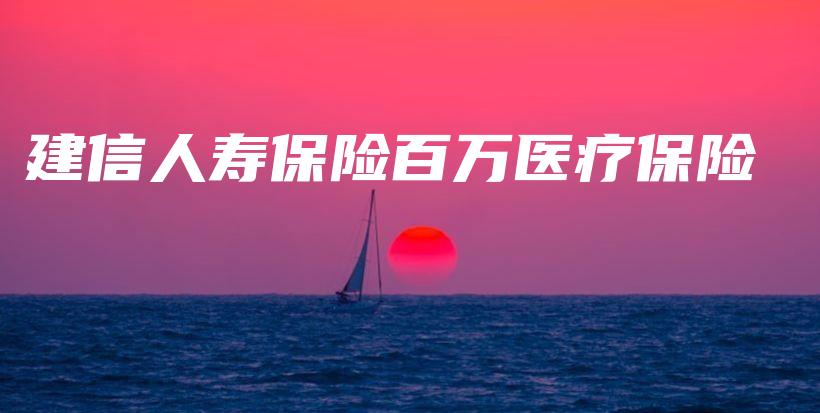 建信人寿保险百万医疗保险-PLB