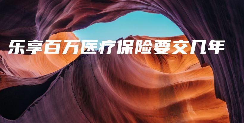 乐享百万医疗保险要交几年-PLB