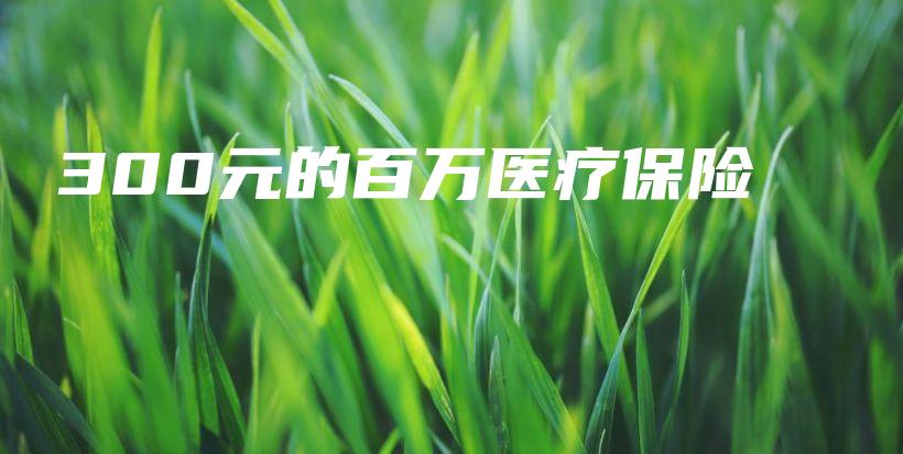 300元的百万医疗保险-PLB