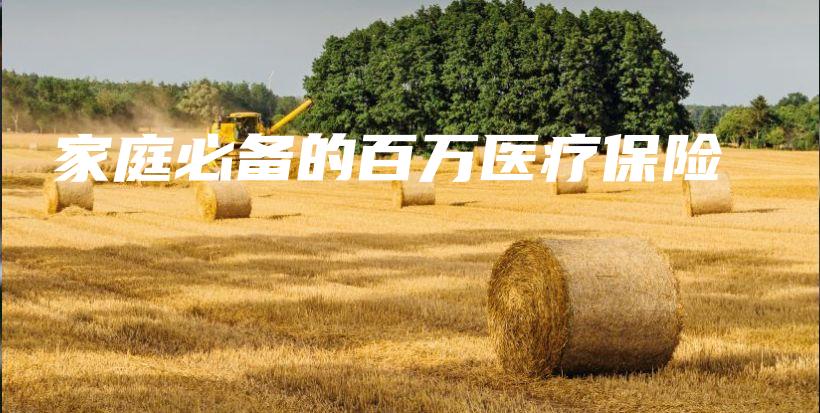家庭必备的百万医疗保险-PLB