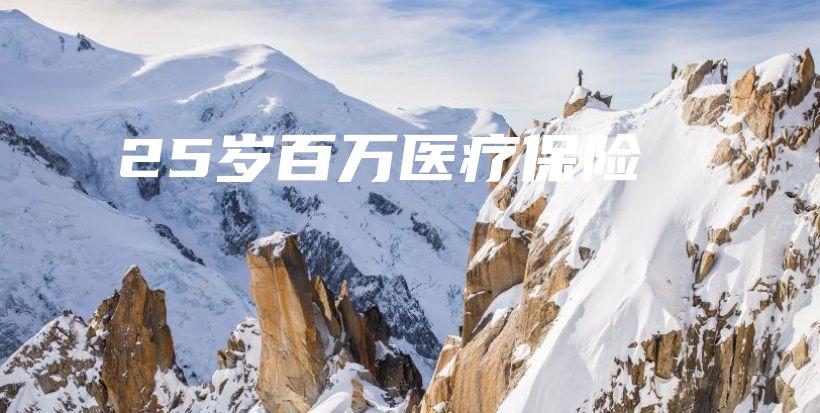 25岁百万医疗保险-PLB