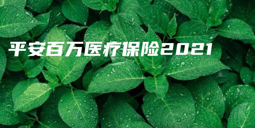 平安百万医疗保险2021-PLB