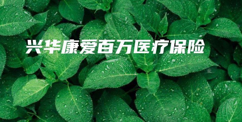 兴华康爱百万医疗保险-PLB