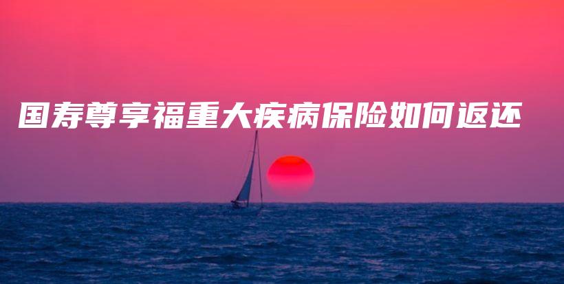 国寿尊享福重大疾病保险如何返还-PLB