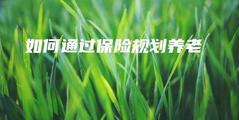 如何通过保险规划养老-PLB