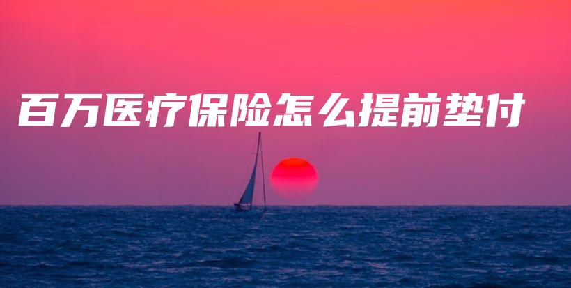 百万医疗保险怎么提前垫付-PLB