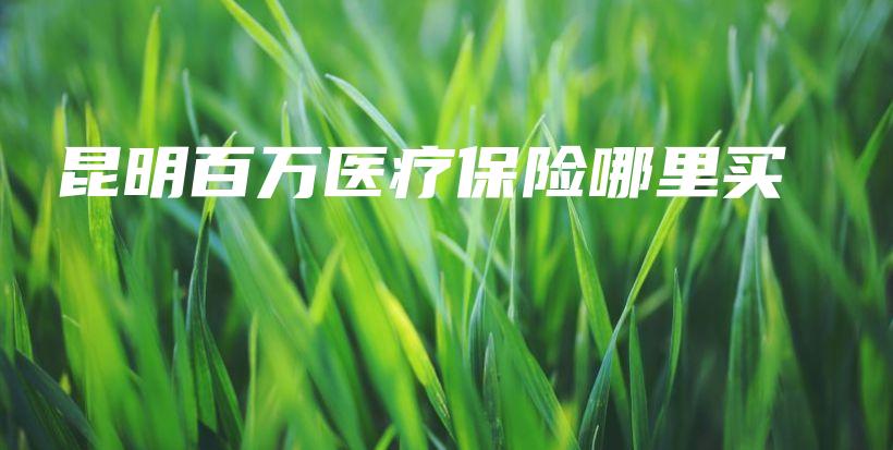 昆明百万医疗保险哪里买-PLB