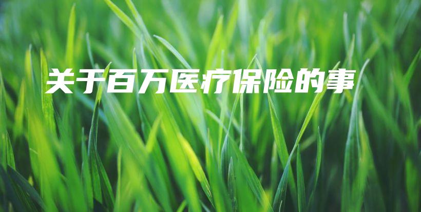 关于百万医疗保险的事-PLB