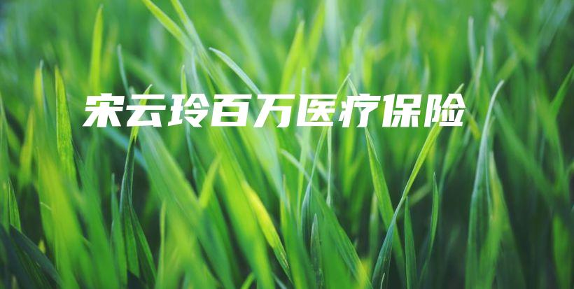 宋云玲百万医疗保险-PLB