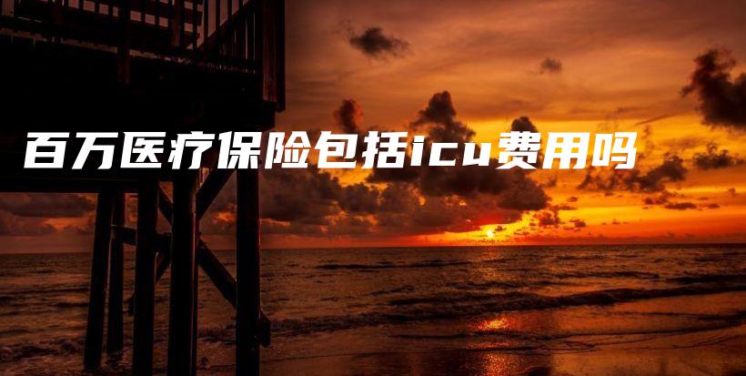百万医疗保险包括icu费用吗-PLB