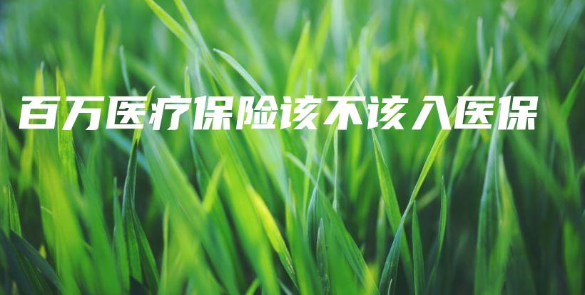 百万医疗保险该不该入医保-PLB
