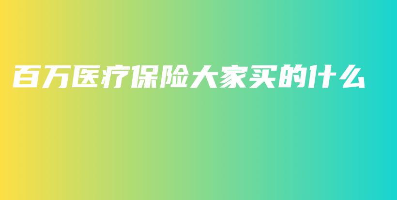 百万医疗保险大家买的什么-PLB