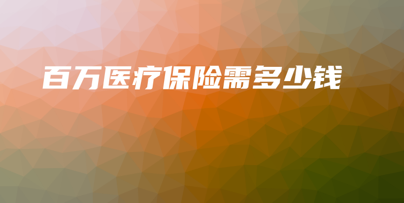 百万医疗保险需多少钱-PLB