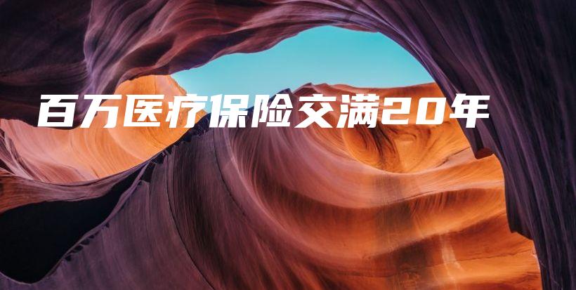 百万医疗保险交满20年-PLB