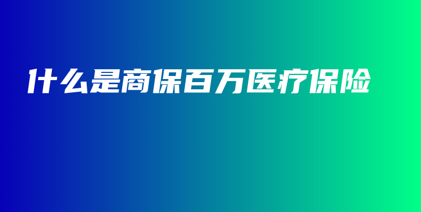 什么是商保百万医疗保险-PLB