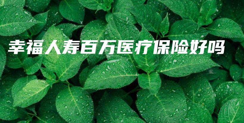 幸福人寿百万医疗保险好吗-PLB