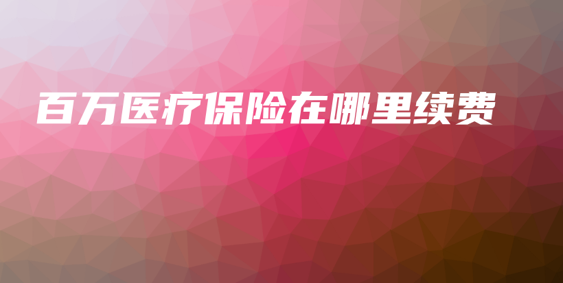百万医疗保险在哪里续费-PLB