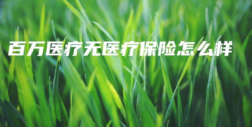 百万医疗无医疗保险怎么样-PLB