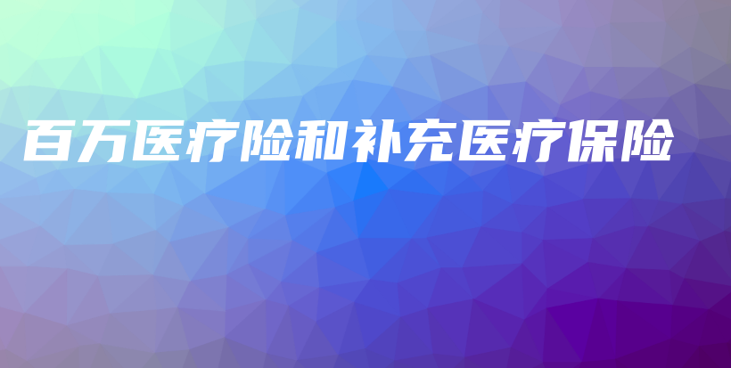 百万医疗险和补充医疗保险-PLB