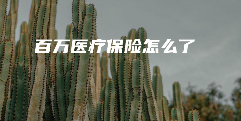 百万医疗保险怎么了-PLB