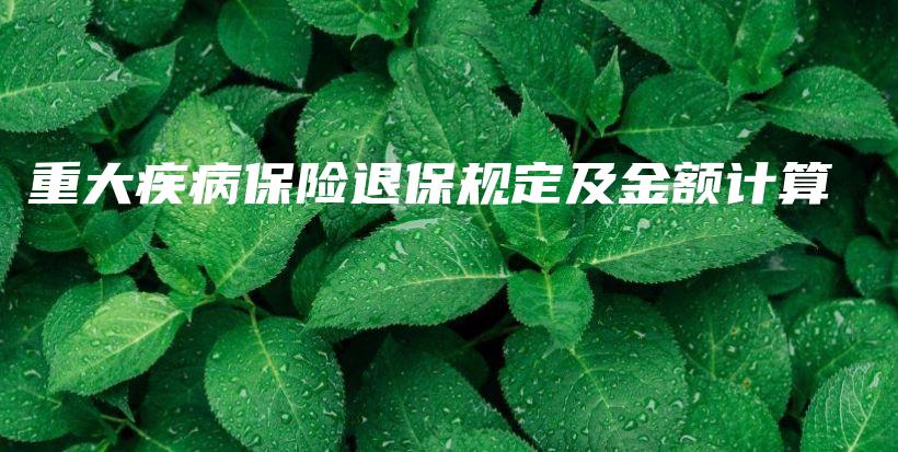重大疾病保险退保规定及金额计算-PLB