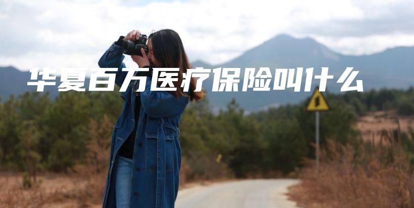 华夏百万医疗保险叫什么-PLB