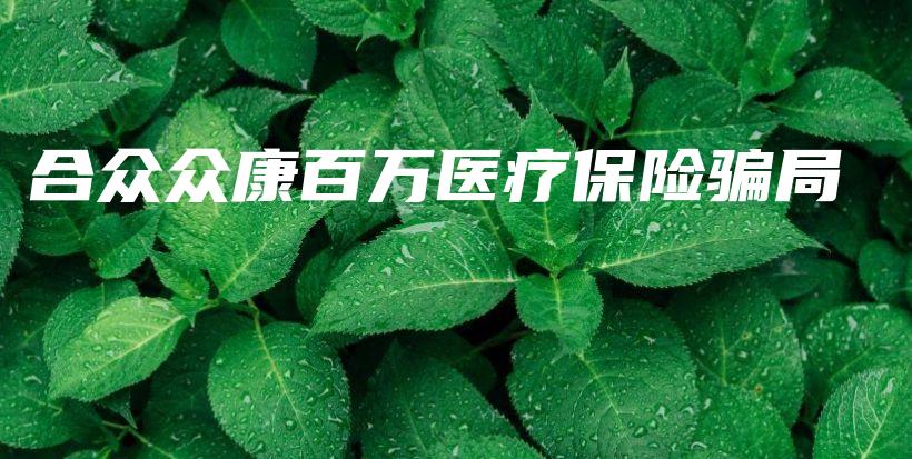 合众众康百万医疗保险骗局-PLB