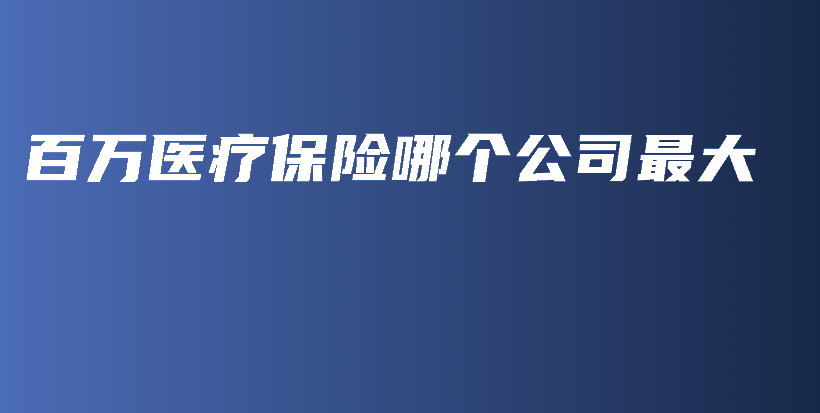 百万医疗保险哪个公司最大-PLB